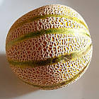 Диня Канталупа Італійська 10 шт (zip-пакет), фото 2