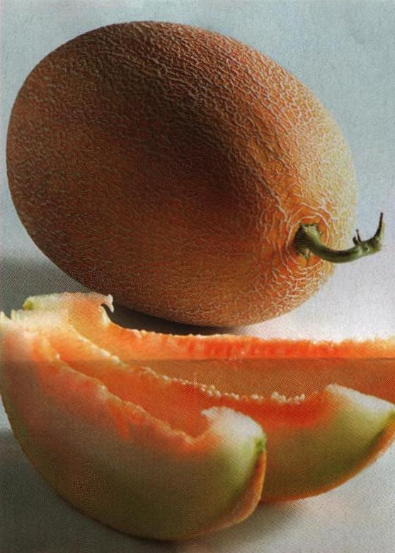 Дыня Делано F1 семена раннеспелого высокопродуктивного гибрида дыни с овально - удлиненными сочными плодами - фото 3 - id-p373331843