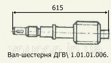 Вал-шестерня ДГВ 1.01.01.006
