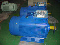 Електродвигун АИР 355 М2 315 кВт на 3000 об/хв - самий потужний мотор серії АИР