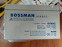 Аккумулятор для детских электромобилей Bossman-Profi 6FM9G