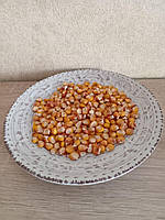 Семена кукурузы Днепропетровская (обычная) (20 шт)