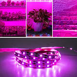 LED-фітострічка, фітолампа Full Spectrum USB 180 LED IP65 4 метри, фото 6
