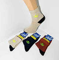 Шкарпетки жіночі 12 пар демісезоні з бавовни Житомир ТМ Преміум розмір 36-41 мікс кольорів