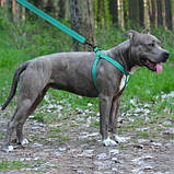 Шлея для собак Active ТМ BronzeDog ментолова обхват грудної клітини 58-71см ширина 25мм L, фото 6