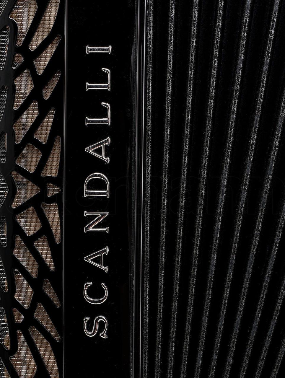 Аккордеон Scandalli Air VI - фото 5 - id-p2068609917