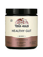 Terra origin, Healthy gut, добавка для нормалізації функцій шлунково-кишкового тракту, смак ягід, 243 г