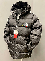 Мужская зимняя куртка TNF Gucci. Пуховик Зе Норт Фейс Гуччи мужской \ женский