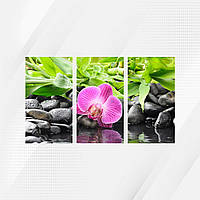 Модульная картина "Орхидея" MK415 90х55см