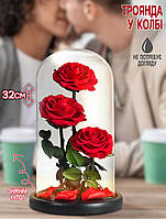 Роза в колбе три цветка Rose Love-3 стабилизированный цветок тройная роза 32 см, подарочная упаковка