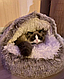 Лежанка пуфік з покривалом Хутряний теплий Будиночок для кішок та собачок Пухнаста глибока будиночок - мушля з капюшоном 40 см - фото 7 - id-p2373962604
