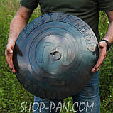 Гравіювання на кришку сковороди з диска 60 см, фото 3