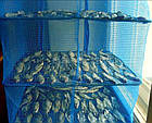 Сітка для сушіння риби Stenson "U" SF24146-45 3 яруси, 45х45х68 см, фото 3