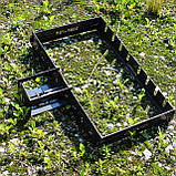 Автоматична шашличниця SHOP-PAN з карданом на 8 шт, фото 5