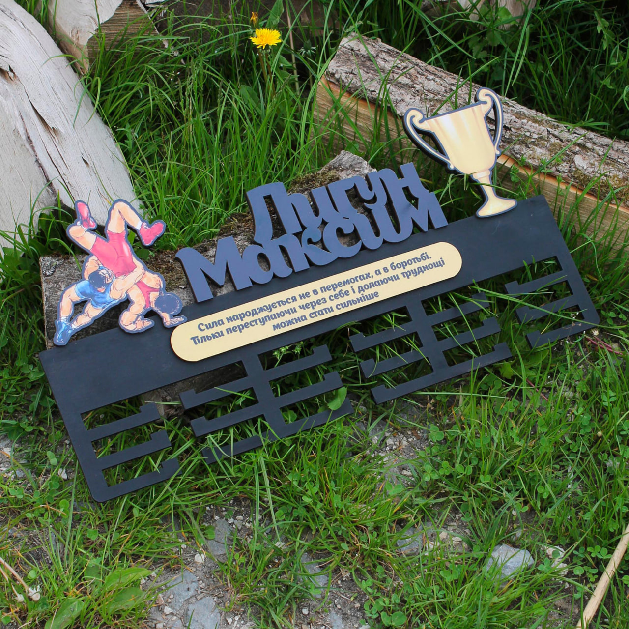 Тематична медальниця з вашим видом спорту 08/2, фото 1