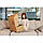 Килимок акупунктурний з подушкою 4FIZJO Eco Mat Аплікатор Кузнєцова 130 x 50 см 4FJ0291 Black/Gold, фото 7