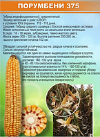 Насіння кукурудзи Порумбінь ФАО 330, засухостійка кукурудза