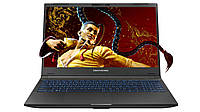 Dream Machines Ноутбук RG3050-15 15.6FHD IPS, Intel i7-13700H, 16GB, F1TB, NVD3050-4, DOS, черный