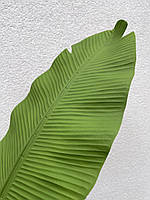 Лист банана гигант из латекса зелёный