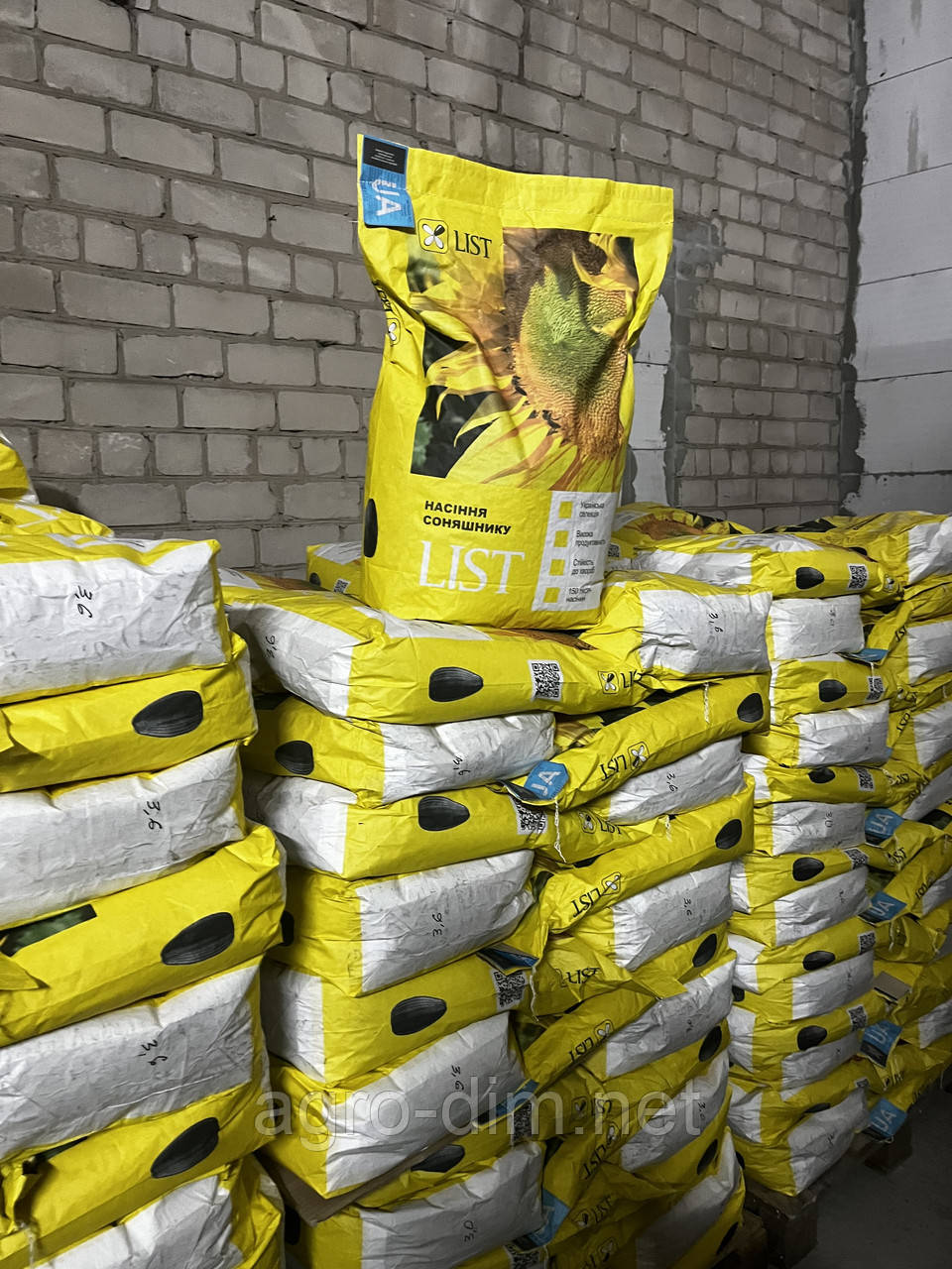 Насіння соняшника гібрид Євро під євро-лайтнінг 7 рас