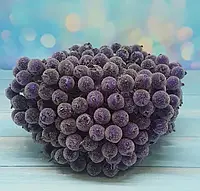Калина (ягода) в сахаре 12 мм, цвет -фиолетовый, 1 пучок (38-40 ягод)