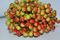 Калина (ягода) лаковая 12 мм, цвет -красно-зеленый, 1 пучок (38-40 ягод)