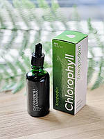 CHLOROPHYLL