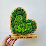 Серце з дерева на підставці з  стабілізованим мохом - подарунок на день святого Валентина дружині, дівчині, фото 2