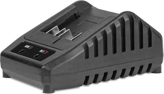 Зарядний пристрій для DWT CS2020