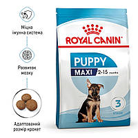 Royal Canin Maxi Puppy - сухий корм для цуценят великих порід (від 2 місяців) 15кг