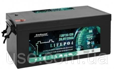 Акумулятор літієвий 24 Вольт, 120 А г, 120Ah, EverExceed, LiFePO4 для інвертора, безперебіника