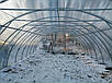 Каркас 5х16м полікарбонатної теплиці "Оптимальна", фото 4