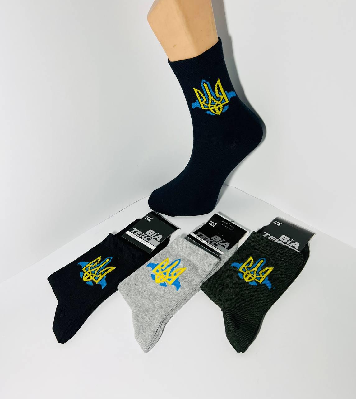 Шкарпетки чоловічі демісезоні з бавовни ТМ "ВіаТекс" розмір 27 (41-43) герб