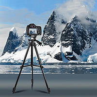 Штатив для телефона и фотоаппарата Tripod 3120 PRO портативный трипод 0,35-1.02м высота. NZ-116 Цвет: черный