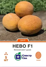 Диня Нево 5нас СпектрСад