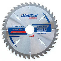 Пиляльний диск з напайками WellCut Standard (300х48Тх32) (WS48300)