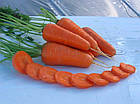 Насіння Морква на стрічці Шантане Ред Кор Sedos 5м, фото 5