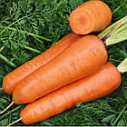 Насіння Морква на стрічці Шантане Ред Кор Sedos 5м, фото 3