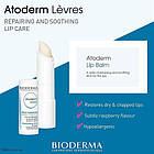 Відновлювальний крем для рук Bioderma Atoderm Mains Repairing Hand Cream, фото 7