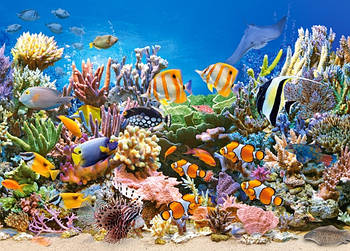 Пазли 260 елементів "Фарби океану"