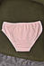 Труси жіночі однотонні пудрового кольору 169400S, фото 2