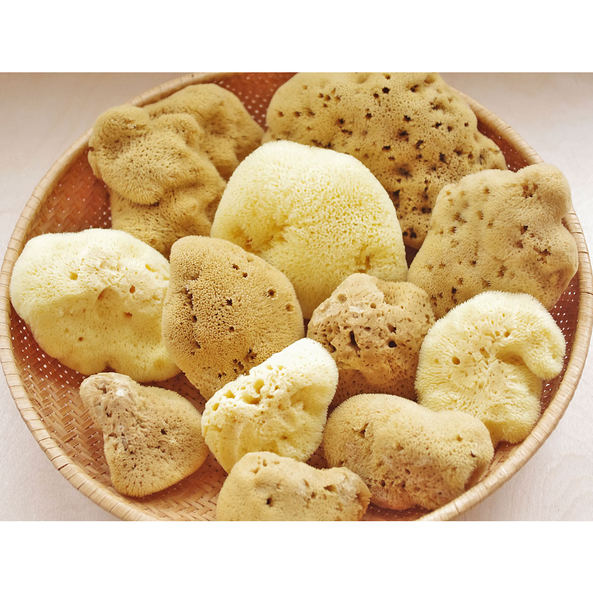 Морская губка Fina Silk для тела, натуральная, 15-16 см, Греция ...