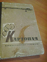 Картопля І.Чиженко