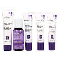 Очищуючий засіб Andalou Naturals, Get Started, Age Defying, Skin Care Essentials, 5 Piece Kit (Discontinued Item), оригінал.