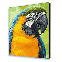 Картина по номерам Птицы Попугай Ара 38х50 см АРТ-КРАФТ (11626-AC)