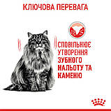Royal Canin Oral Care 1,5 кг сприяє зменшенню зубного каменю, фото 7