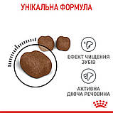 Royal Canin Oral Care 1,5 кг сприяє зменшенню зубного каменю, фото 8