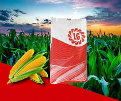 Насіння кукурудзи ЛГ 3258 ( Limagrain ) ФАО – 250