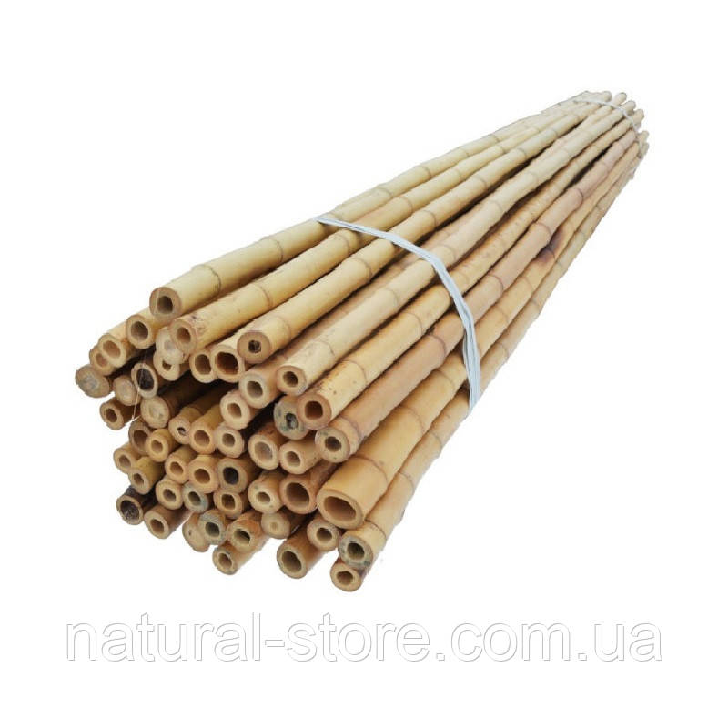 Бамбуковая опора L 3м. д. 28-30мм. палка, ствол для подвязки деревьев - фото 2 - id-p2070333900