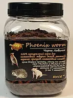 Чорна Львинка "Phoenix Worm" тм Буся. Корм для їжаків, птахів, гризунів, рептилій